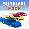 Survival Race